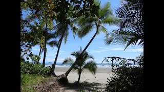 Playa Uvita  Puntarenas  Costa Rica [upl. by Llerihs]