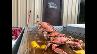 How to Boil Blue Crabs Louisiana Style [upl. by Koval208]