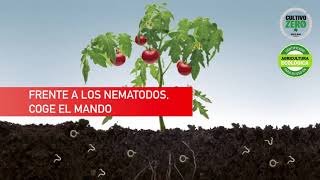 ADINA  Videofolleto del nuevo insecticidanematicida  Frente a los nematodos coge el mando [upl. by Eimmis]