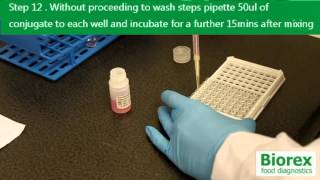 Chloramphenicol ELISA Testing Kit [upl. by Normie]