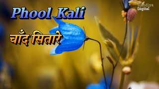 Phool Kali Chand  Krantiveer Song  Romantic songs Mamta Kulkarni  Atul Agnihotri  Udit Naraya [upl. by Nide]