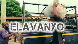 VimBoss Bakteria  ELAVANYO  Official Visual [upl. by Armando]