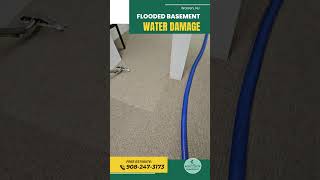 ✅ Water damage in flooded basement  Warren NJ [upl. by Hagile280]