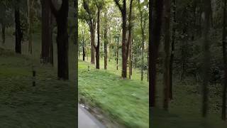 part 1 wayanad pulpally bathery highway wildlife roadtrip forestadventure travelvlog trip [upl. by Sidra811]