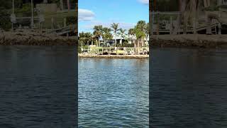 DESTROYED boat docks from hurricane Milton boat sarasota florida [upl. by Bergeman563]