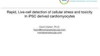 Cardiotoxicity assay in iPSC derived cardiomyocytes [upl. by Nemhauser424]