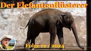 Der Elefantenflüsterer Folge 12  2024 [upl. by Nahn]