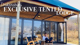 Luxury Tented Lodge Experience —South Africa [upl. by Fina]