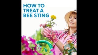 How to treat a bee sting [upl. by Aidroc]