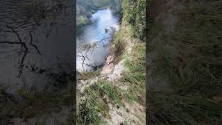 Scary Sand Erosion Hurricane Milton on Econlockhatchee at Barr Street Little Big Econ State Forest [upl. by Martsen]