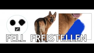 Fell freistellen mit den ART Haar Pinselspitzen [upl. by Avrom804]