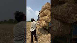 Gaddi thechinam vlog  village lifestylevlog villagelife villagevlog vlog [upl. by Nivre]