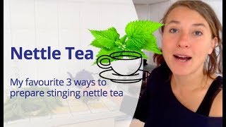 How to Make Nettle Tea  One of the Best Natural Herbal Drinks  3 Ways to Prepare Nettle Tea [upl. by Dahl]