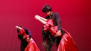 Persian Modern Couples Dance  24th Annual Nowruz Show at Umich [upl. by Amaris487]