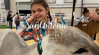 Our Crazy Experience at the San Antonio Livestock Show… cattle sanantonio livestockshow cows [upl. by Aniela]