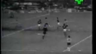 Botafogo 2 x 2 Flamengo Carioca 1975 [upl. by Rekrap536]