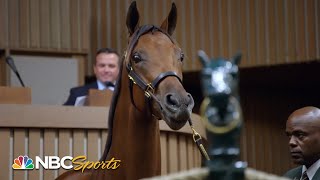 Champions born bred and bid on in Kentucky  All In Road to the Breeders Cup Classic  NBC Sports [upl. by Eserehs]