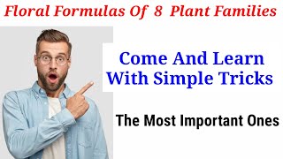 Floral Formulas Of 8 Plant FamiliesSimple Tricks In HindiUrdu [upl. by Helgeson]