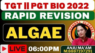 RAPID REVISION  ALGAE  TGT  PGT 2022 BIOLOGY BY ANJU MAM  Day 2 [upl. by Reamy]