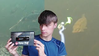 waterwolf camera 20 full review and fish [upl. by Fari]