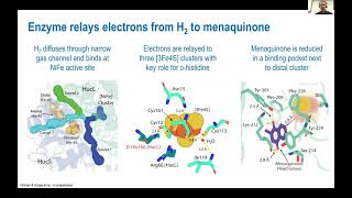 Hydrogenase Lectures 2022 Episode 4 Part 1 Chris Greening [upl. by Kcirdet]