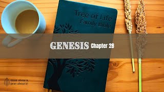 GENESIS Chapter 28 Messianic Jewish Bible  TLV [upl. by Sanfourd]