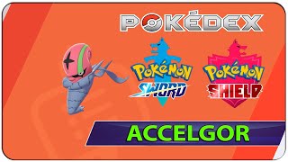 How to Catch Accelgor  276 Pokemon Sword amp Shield  Galar Pokedex [upl. by Ettelracs]