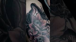 blackwork snake tattoo on leg leg tattoo istanbul brockkaw shorts shortfeed tattooartist [upl. by Akimak]