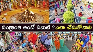 How to Celebrate Sankranti Festival  Sankranti Festival Special In Andhra Pradesh  Tollywood Nagar [upl. by Largent]