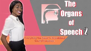 The Organs Of Speech And Their Functions Lesson 2 Everything You Need To Know  Speech Production [upl. by Hanni]