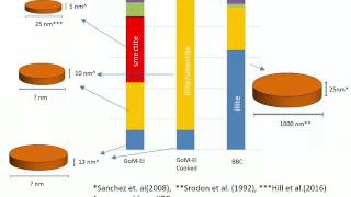 SmectiteandIllite [upl. by Lenroc146]