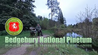 Bedgebury National Pinetum Kent Walks Series [upl. by Llertac]