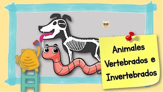 ANIMALES VERTEBRADOS E INVERTEBRADOS [upl. by Tnomad]