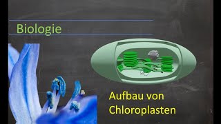 Aufbau von Chloroplasten [upl. by Cedar375]