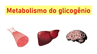 Metabolismo do glicogênio glicogênese glicogenólise e regulação [upl. by Norra]