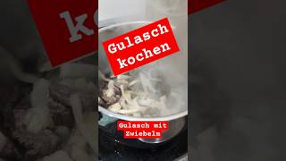 Gulasch mit Zwiebeln kochen essen fleisch koch zwiebel topf herd [upl. by Cynthy683]