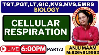 CELLULAR RESPIRATION  PART 2  BY ANJU MAM [upl. by Heriberto]