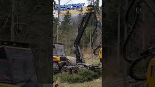 Ponsse Ergo 8W C44 H7 The Giant Wood Harvester of the Forest shorts [upl. by Lilhak]