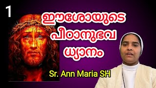 Sr Ann Maria SH Zoom Meeting [upl. by Hiram]