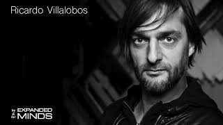 Ricardo Villalobos  Amazing Set  The best Electronic Music [upl. by Aneehta]