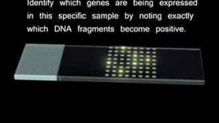 Microarrays [upl. by Itirahc]