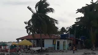 muito linda essa praia em Saubara Bahia [upl. by Harpp]