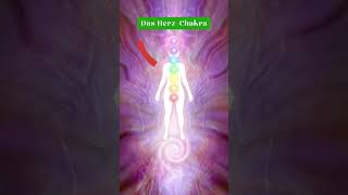 Das HerzChakra ganzheitlich energiearbeit reiki chakra reiki herzchakra selbstheilungskräfte [upl. by Clava]