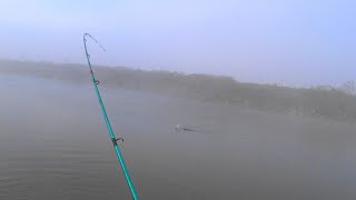 Spinning invernale ai grossi predatori di fiume [upl. by Basil]