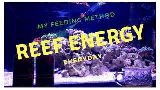 Feeding Reef Energy and Reef Roids to Coral and Fish [upl. by Retsevlis]