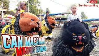 CAN MACANAN MAONG REMAJA LIVE RANDUAGUNG SUMBERJAMBE  LION DANCE [upl. by Reham679]