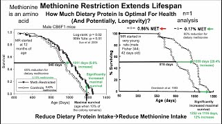 Methionine Restriction Extends LifespanWhats Optimal For Protein Intake n1 Analysis [upl. by Hanny]