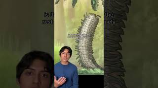 The Creepy Arthropleura prehistoric nature wildlife horror insects [upl. by Reamy]