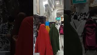 Sai Safa Marwah safamarwah masjidilharam makkah umrah hajj travel vlog islam youtubeshorts [upl. by Sida]