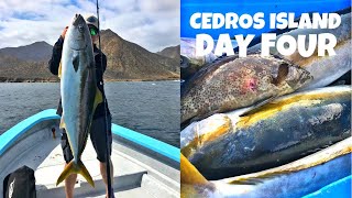 Fishing Cedros Island in Mexico for GIANT Yellowtail Final day [upl. by Nadya]